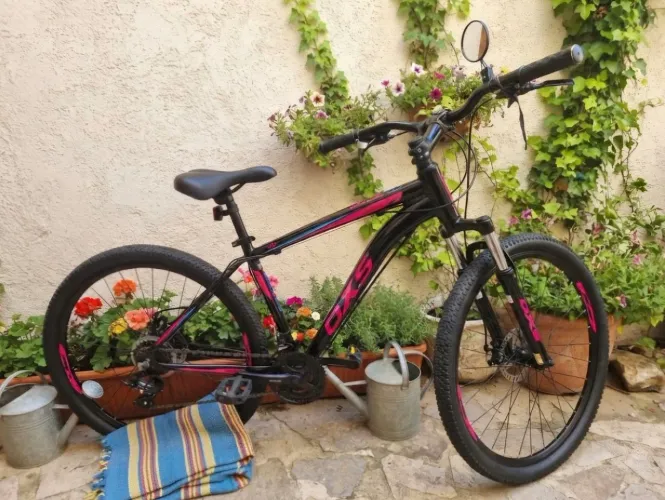 Bicicleta Adulto Feminina