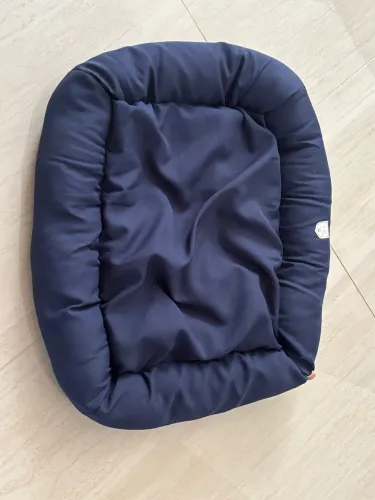 Coisas para Pet- Buldogue Francês