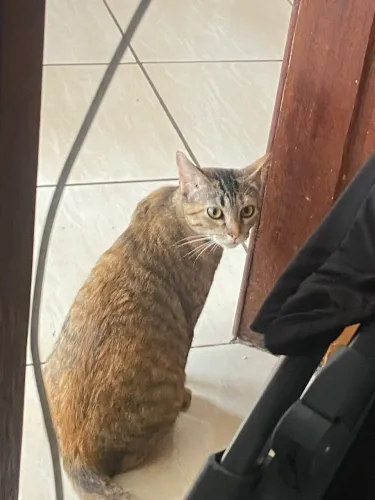 Doação 