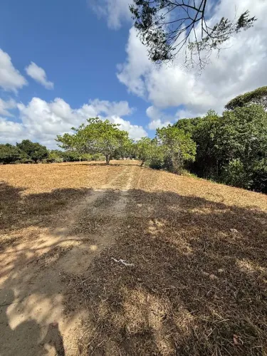 Área na Guabiraba Próximo ao CT do Sport