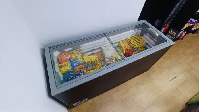 Freezer Horizontal 