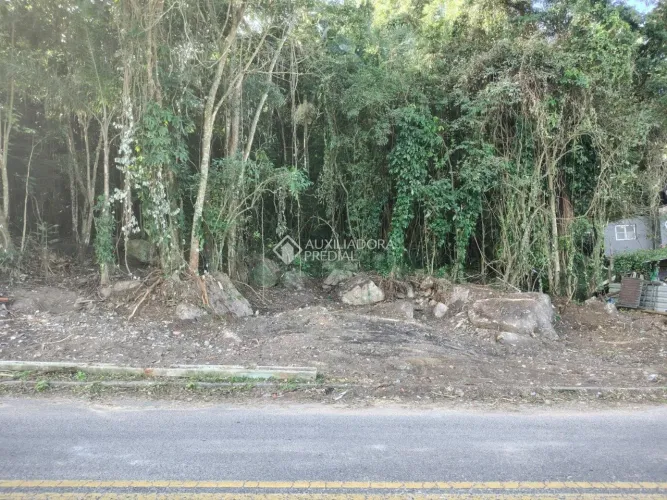 Lindo lote com 35.000m ² com viabilidade construtiva no Ribeirão da Ilha.