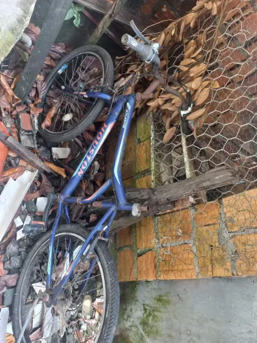 Bicicleta