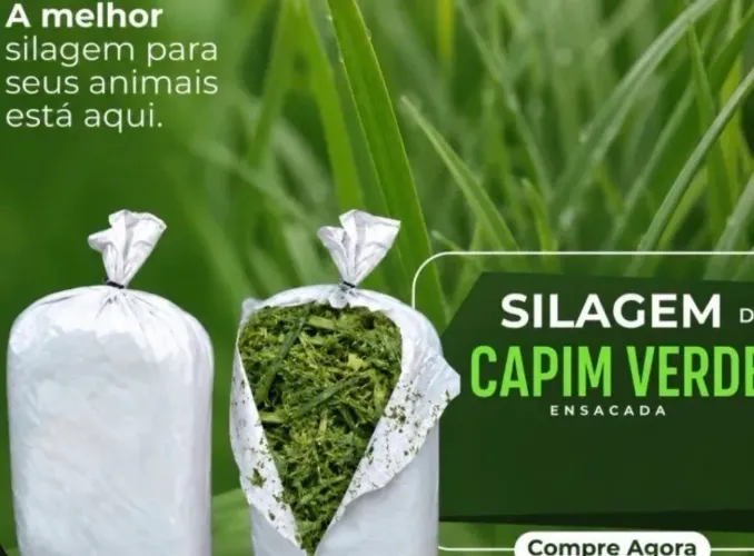 Silagem fresca para animais