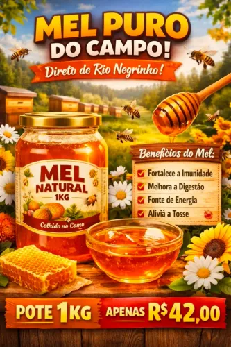 Mel Puro - Colheita Artesanal - Safra 2026