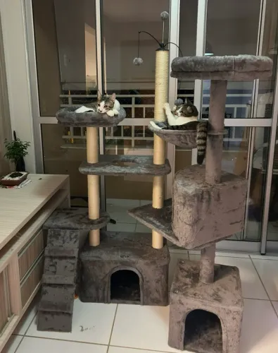Casa gato arranhador