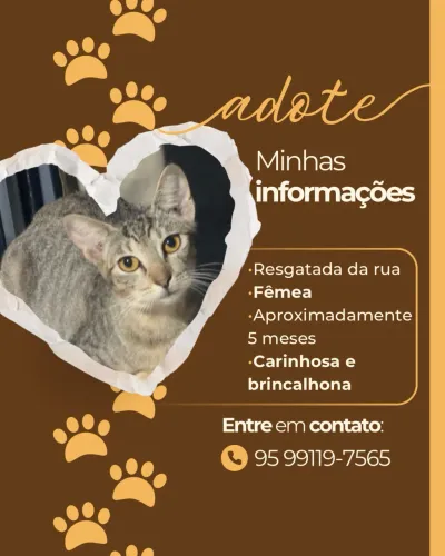 Adoção responsável