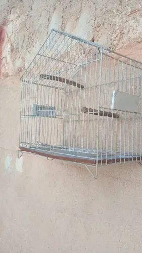Gaiola pequena 50$$