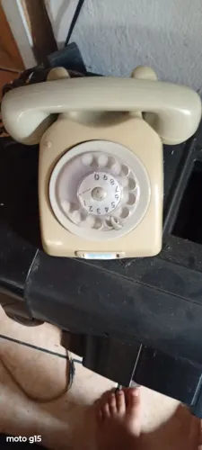 Celular
