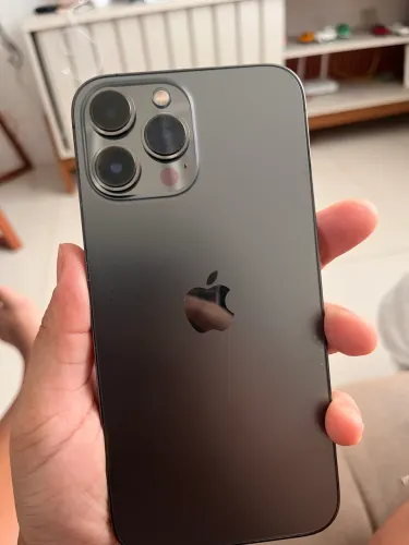 13 pro max