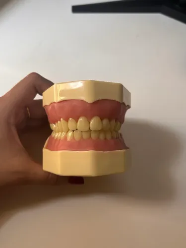 MANEQUIM DE DENTISTA