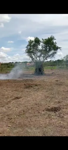 Vendo terreno