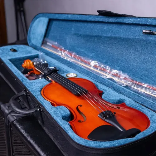 Violino 