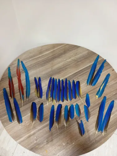 Penas para artesanato decoração ou reposição 