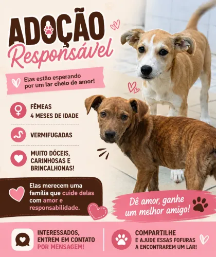 Doação 