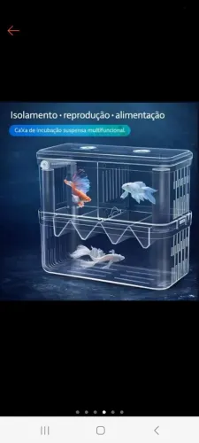 Criadeira de peixes 