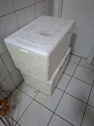 2 Caixas Isopor 80 Litros