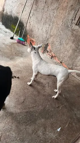 Doação q