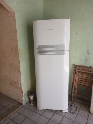 Geladeira electrolux frost free dfn50 topp