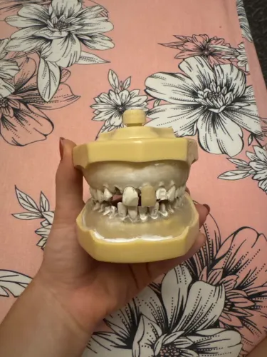 Manequim Marília Odontologia usado