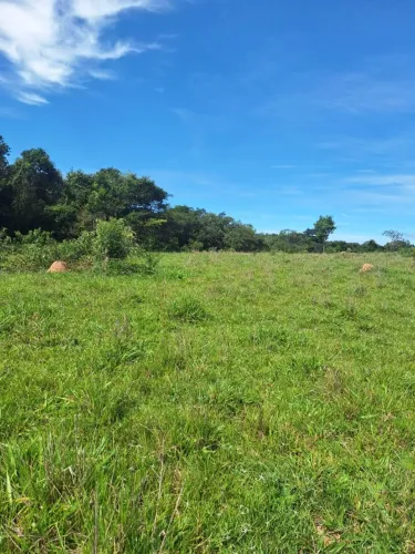 Terreno jacaranda: 29,6508 hectares