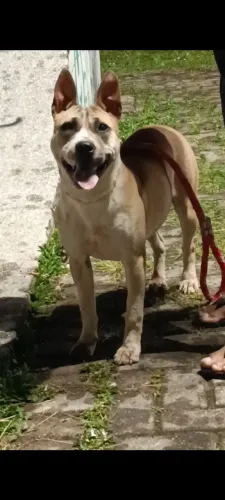 Doação