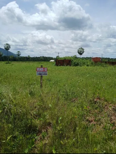 Vendo 2 lotes quitados 