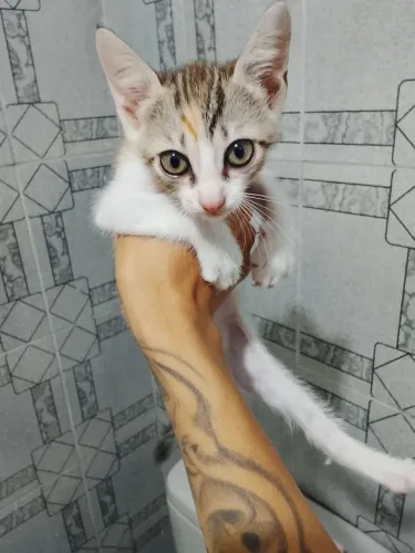 Doação