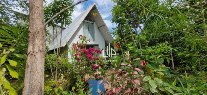 Chácara c/ 2 Quartos à Venda, 3000 m² por R$ 450.000,00 - Rural - Palmas/TO
