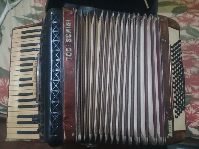 Vendo sanfona todeshini