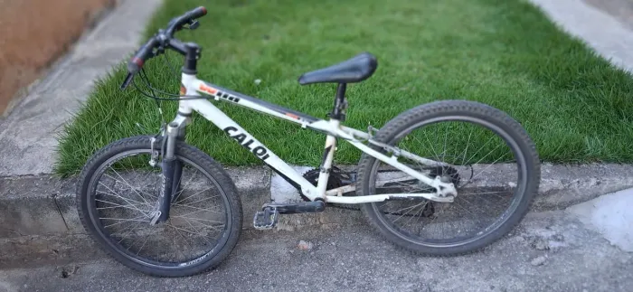 Bicicleta Caloi Wild 21 velocidades