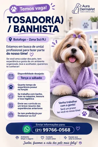 Vaga para cuidador de cães