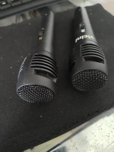 2 MICROFONES VICINI