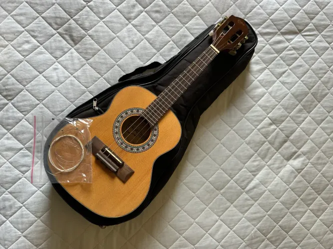 Cavaquinho Elétrico Terra Brasil com capa