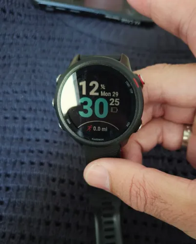 GARMIN MUSIC 245