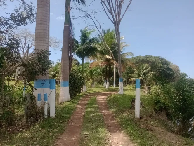 Sítio a venda de frente para lagoa monsaras