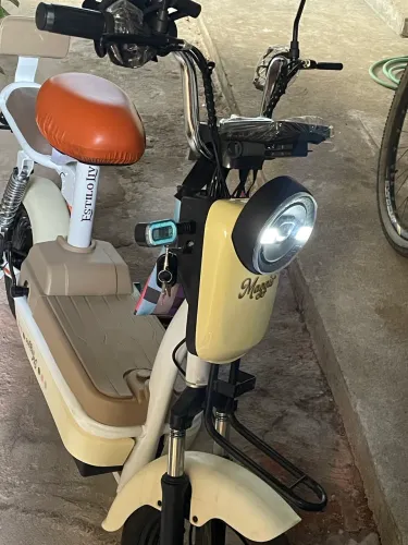 Bicicleta elétrica