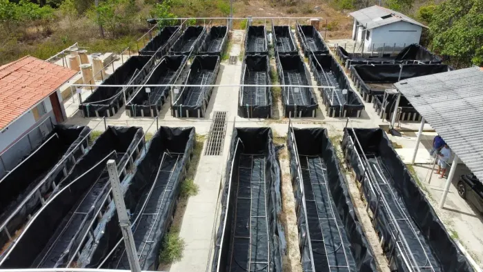 Laboratório de Camarão e Tilápia à venda  Sucatinga, Beberibe/CE