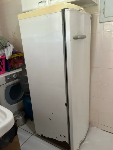 Refrigerador Electrolux 1 Porta 262L