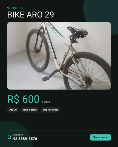 Bike aro 29
