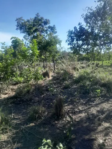 Chácara flores de Goiás 
