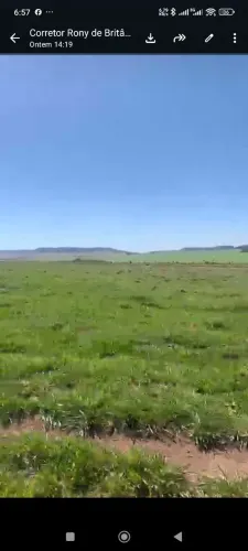 Fazenda de arrendamento em pasto limpo calcariado 4 T.1.300 hec em Caiapônia Go.