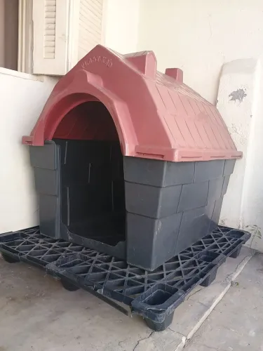 Casa Gigante para Cachorro Grande Porte