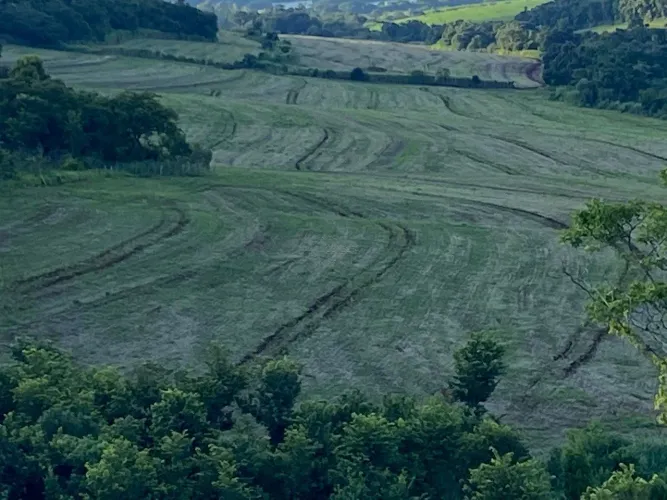 Sitio Santo Olímpia | Assaí | Paraná
