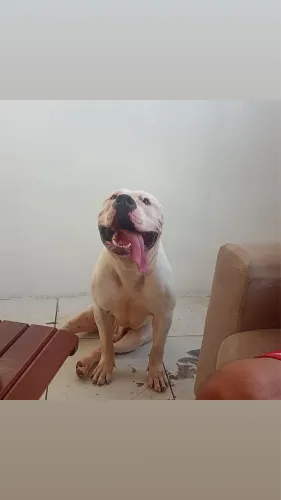 Vende se