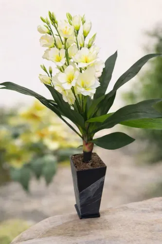 Planta decorativa de chão