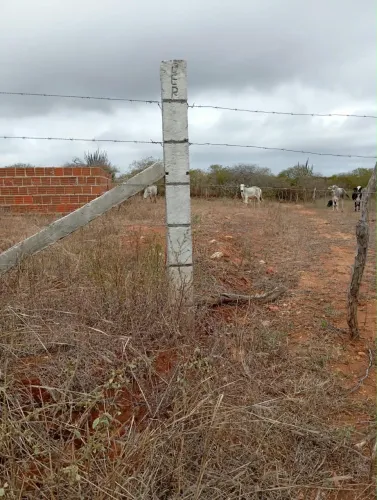 TERRENO DE 1 HECTARE À VENDA 