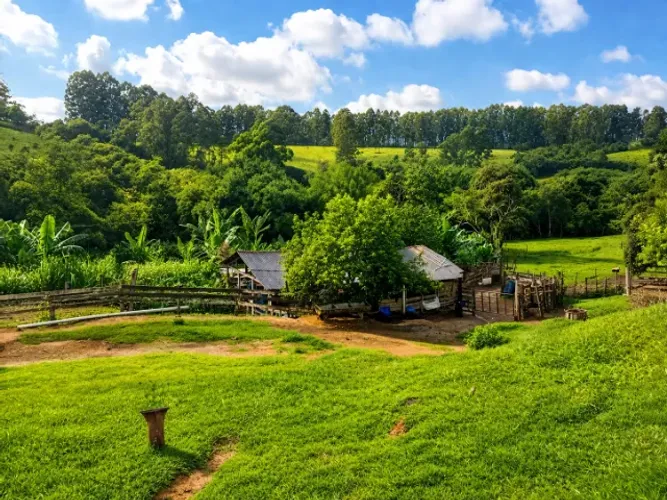 Sítio 5.5 Alqueires à venda em Caldas - MG. R$900.000,00