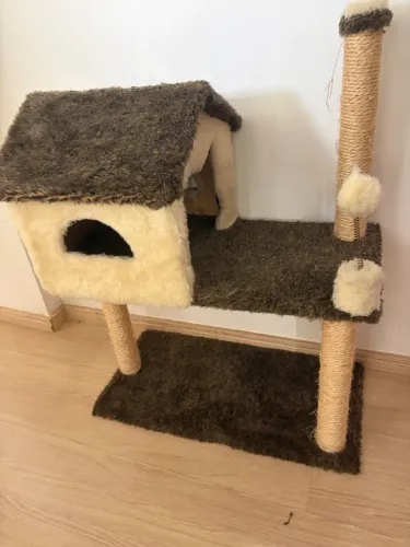 ? Arranhador / Casinha para Gato 