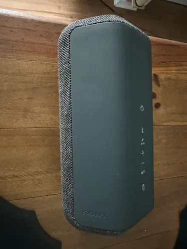 Caixa de som Sony SRS-XE300